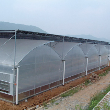 連棟溫室